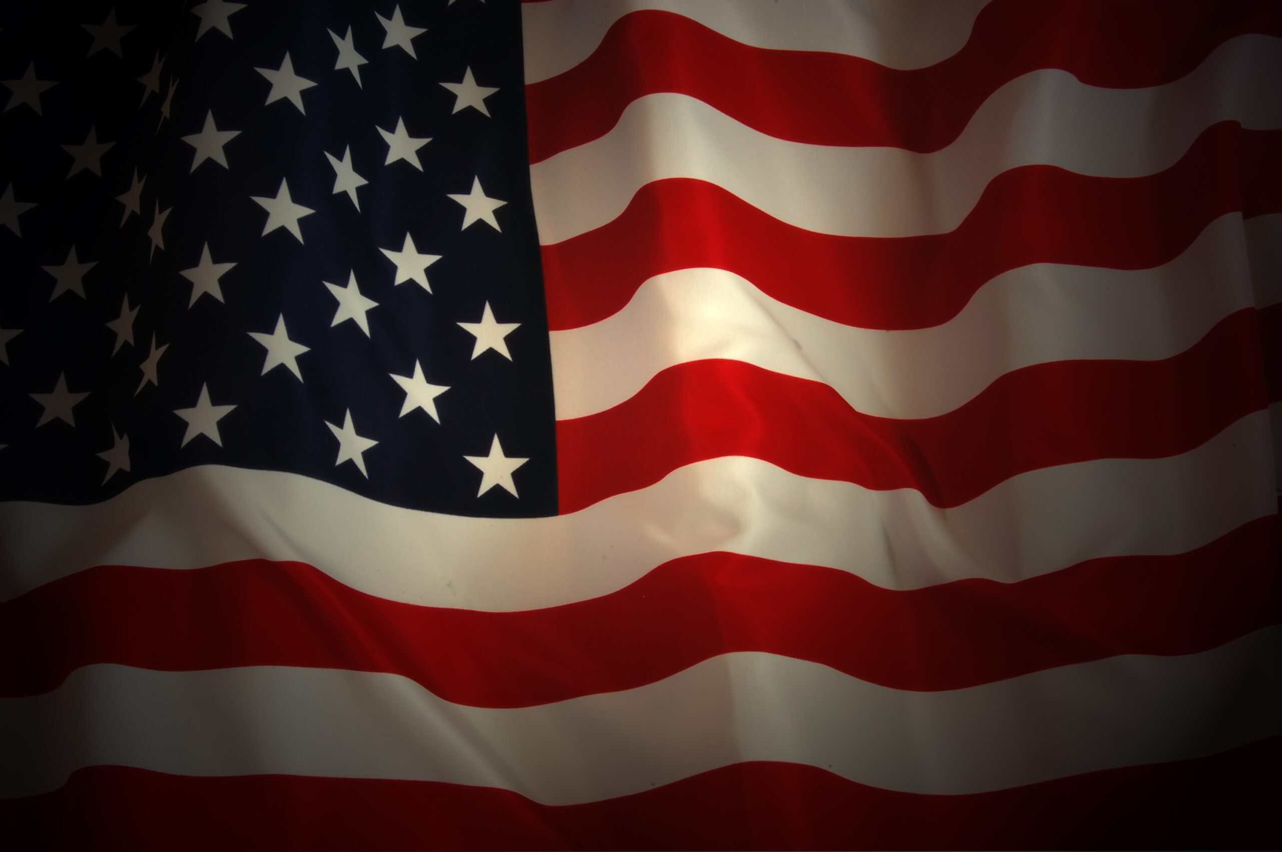 True Vet Solutions in Middleburg, FL - Image of American Flag as a Background